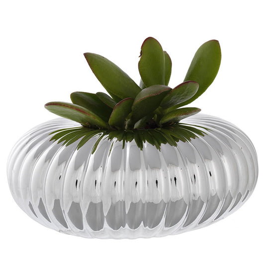 Porta-Vasos Disco com Suculenta | Prata Bilaminada 925 | Decoração Premium