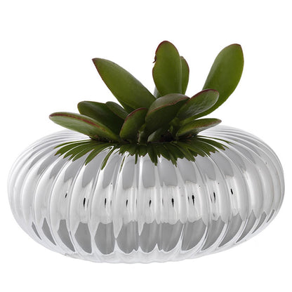 Porta-Vasos Disco com Suculenta | Prata Bilaminada 925 | Decoração Premium