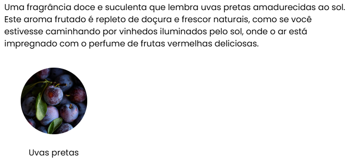 Aromatizador de Papel para Pendurar Premium COLEÇÃO INVERNO | AROMATIC•89• | Exclusivo Portugal