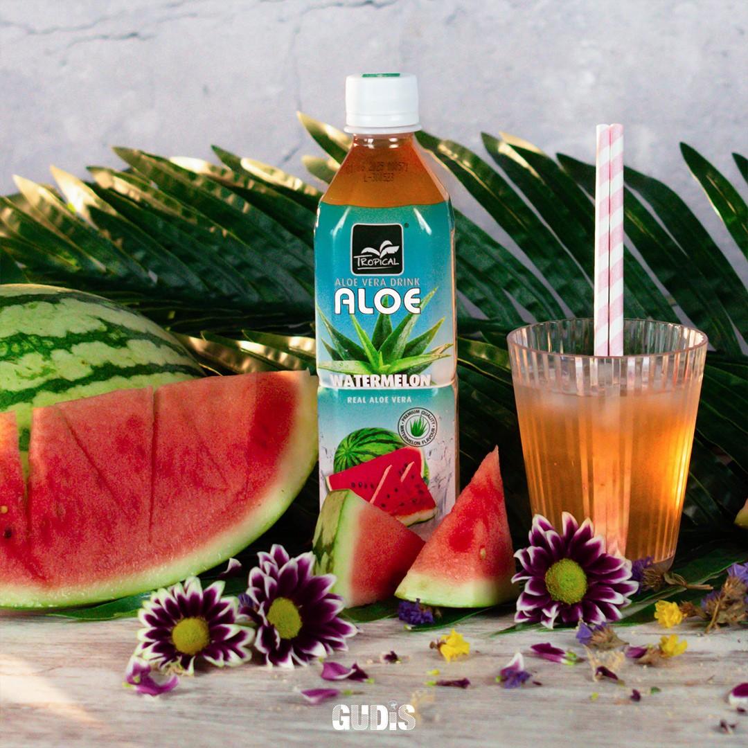 Bebida Aloe Vera - Melancia 500ml