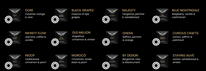 Car Air Freshener Clip Set AROMATIC•89• | 1 Clip + 12 Premium Fragrance Aromas