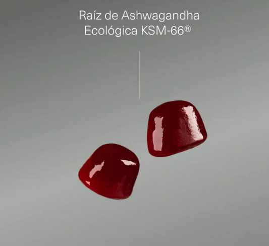 ALDOUS BIO - Ashwagandha em gomas - 120 gomas