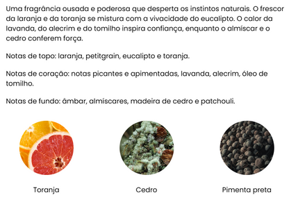 Refil para Difusor de Varetas Premium COLEÇÃO NATAL | AROMATIC•89• | Exclusivo Portugal