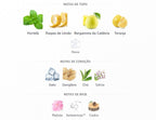Riiffs Freeze Extrait 100ml