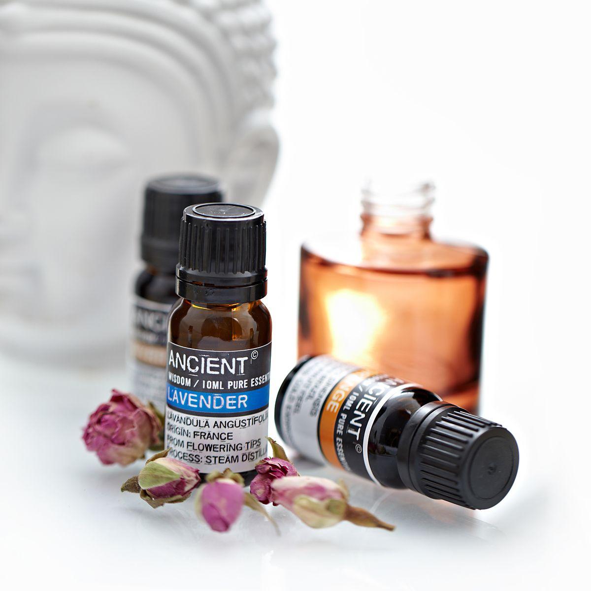 Óleo Essencial de Eucalipto 100% Puro – 10 ml | Ancient Wisdom