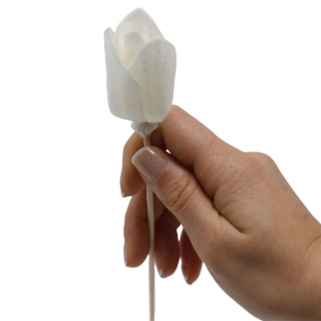 Flores para Difusor em Madeira de Sola – Tulipa com Vareta | Ancient Wisdom
