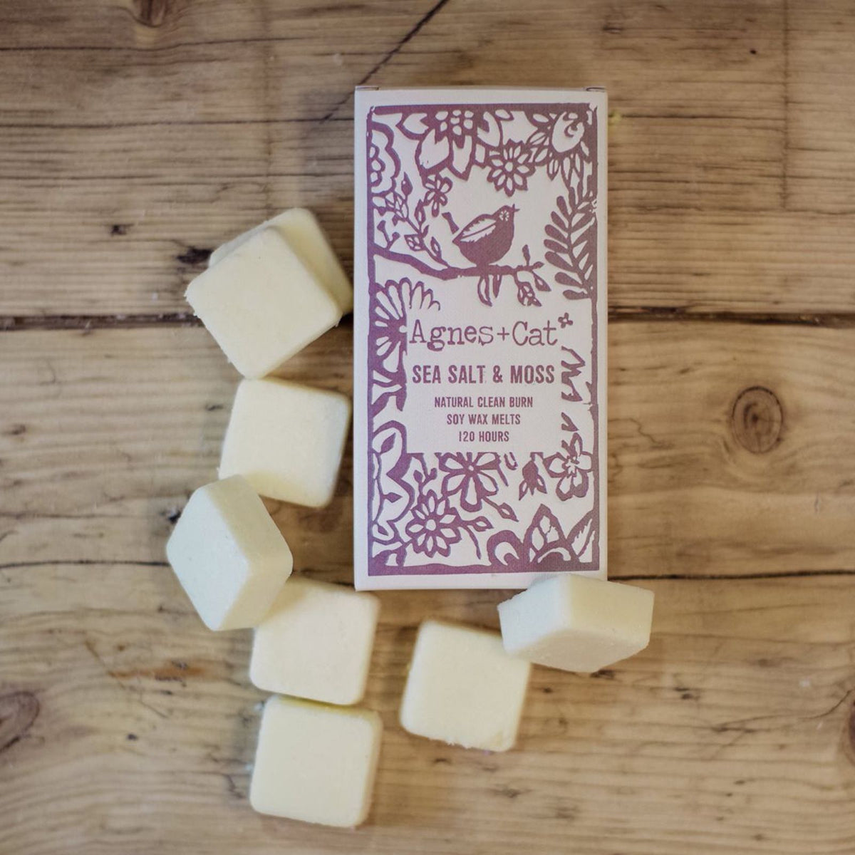 Caixa de 8 Ceras Perfumadas de Soja – Sal Marinho e Musgo | Agnes + Cat
