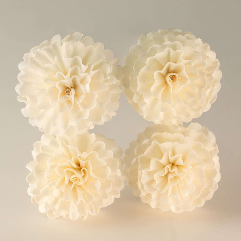 Conjunto de 4 Varetas para Difusor com Flores de Cravo — 23 cm