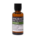 Óleo Essencial Biológico de Gengibre 100% Puro – 50 ml | Ancient Wisdom