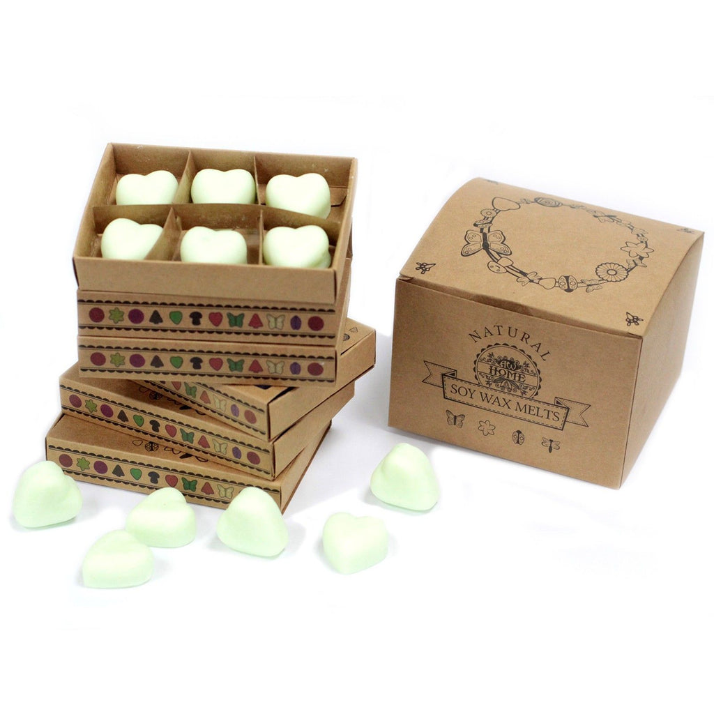 Conjunto de 6 Ceras Perfumadas – Melancia Fresca (Watermelon Fresh) | Ancient Wisdom