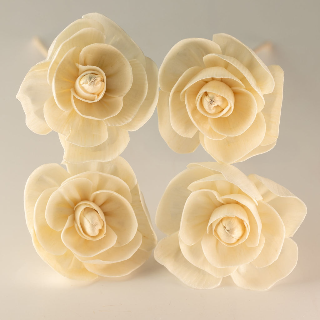 Flores para Difusor em Madeira de Sola – Rosa com Vareta | Ancient Wisdom