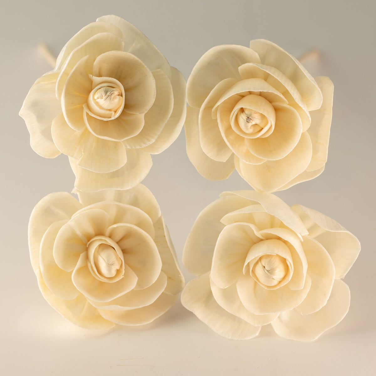 Flores para Difusor em Madeira de Sola – Rosa com Vareta | Ancient Wisdom