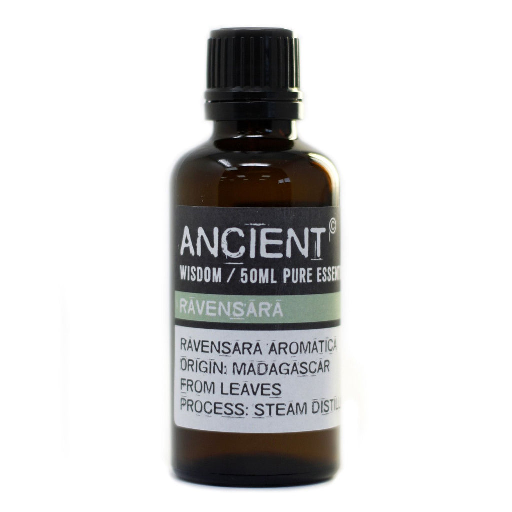 Óleo Essencial de Ravensara 100% Puro – 50 ml | Ancient Wisdom