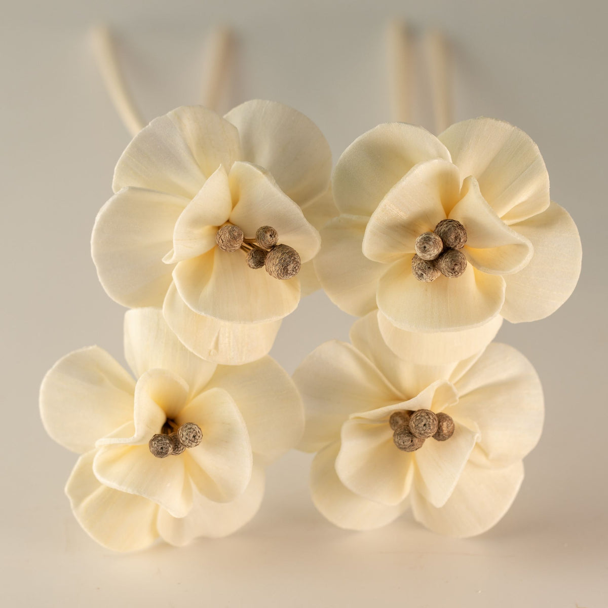Flores para Difusor em Madeira de Sola – Lírio com Vareta | Ancient Wisdom
