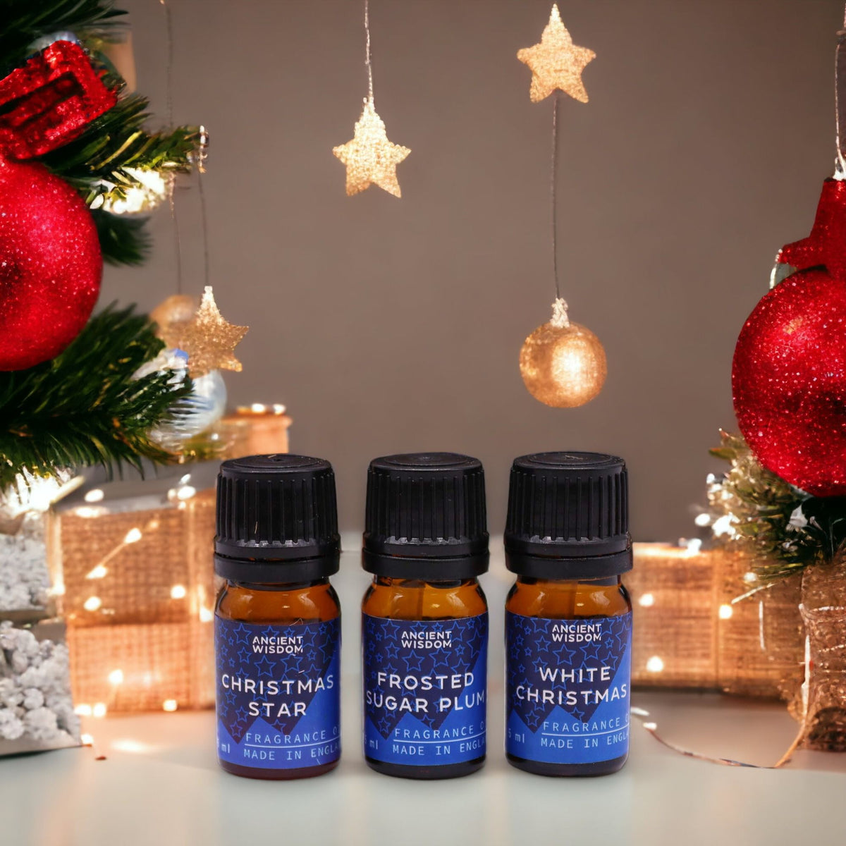 Conjunto de 12 Óleos de Fragrância de Natal "Delícias Festivas" – 12 × 5 ml | Ancient Wisdom