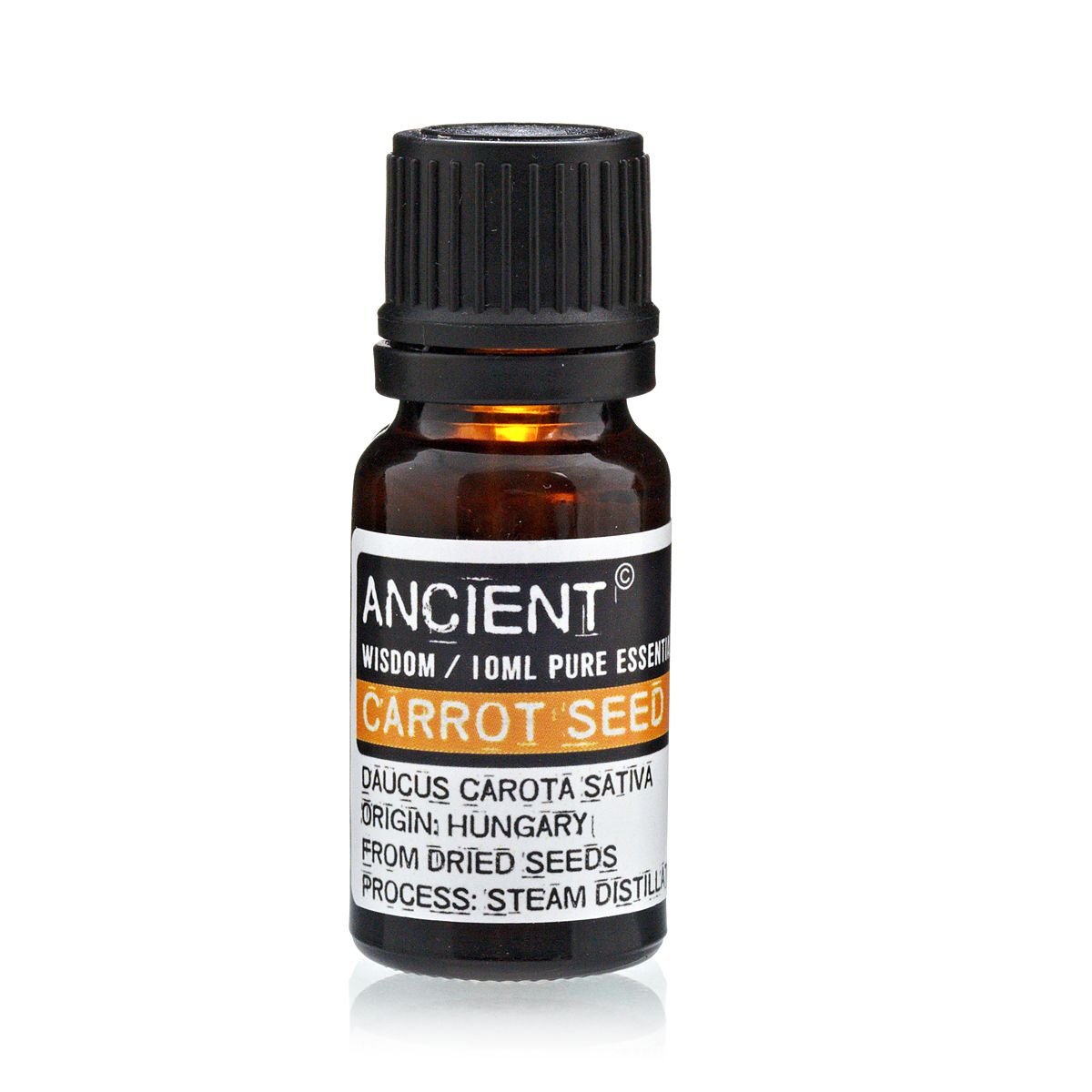 Óleo Essencial de Semente de Cenoura 100% Puro – 10 ml | Ancient Wisdom