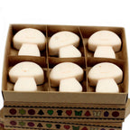 Conjunto de 6 Ceras Perfumadas – Baunilha e Noz-Moscada (Vanilla Nutmeg) | Ancient Wisdom