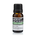 Óleo Essencial de Cânfora Branca 100% Puro – 10 ml | Ancient Wisdom