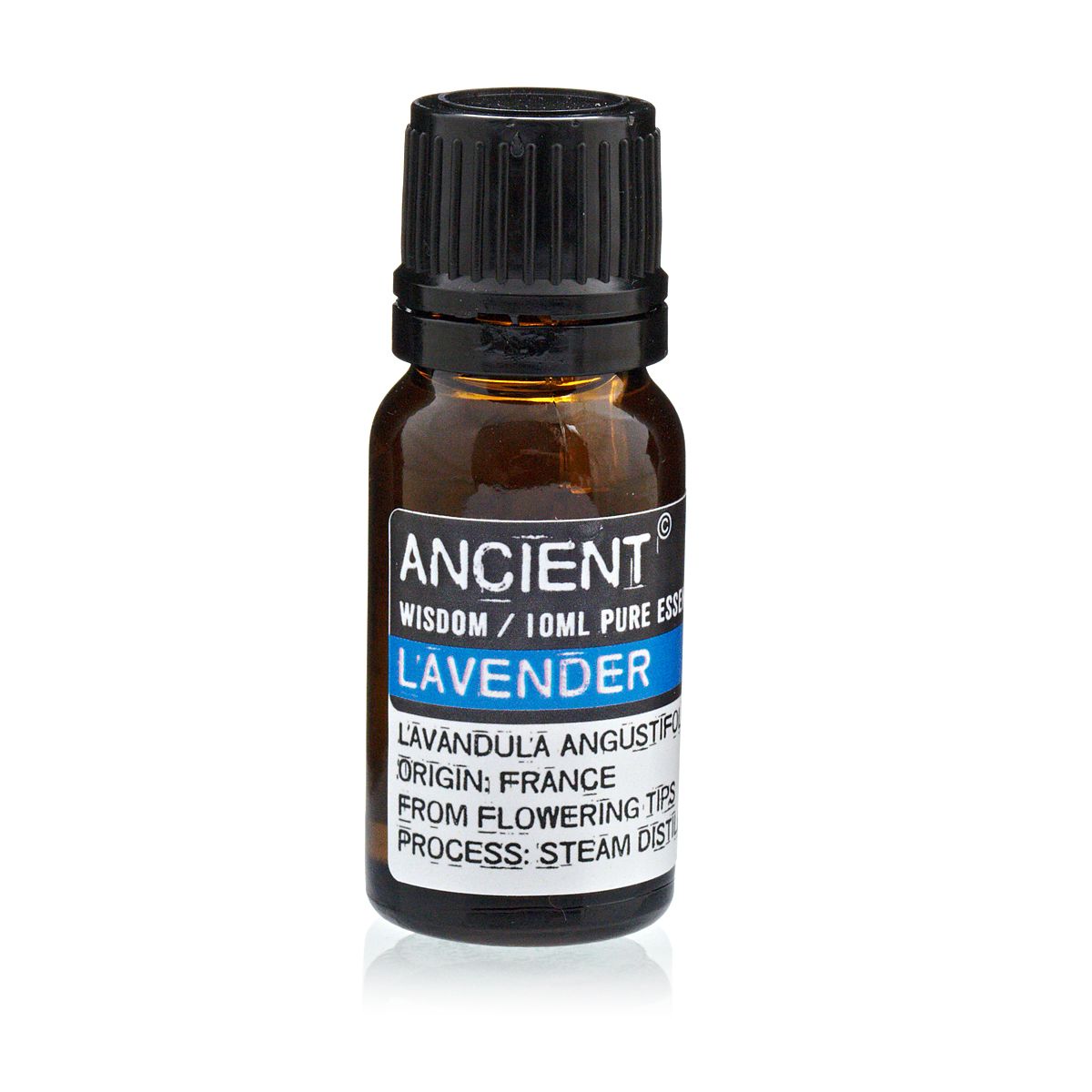 Óleo Essencial de Lavanda 100% Puro – 10 ml | Ancient Wisdom