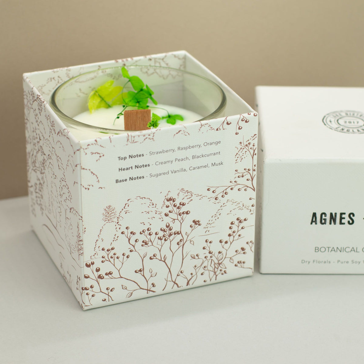 Vela Botânica de Soja com Flores Secas – Frutos dos Montes (Fellberry) – 350 g | Agnes + Cat