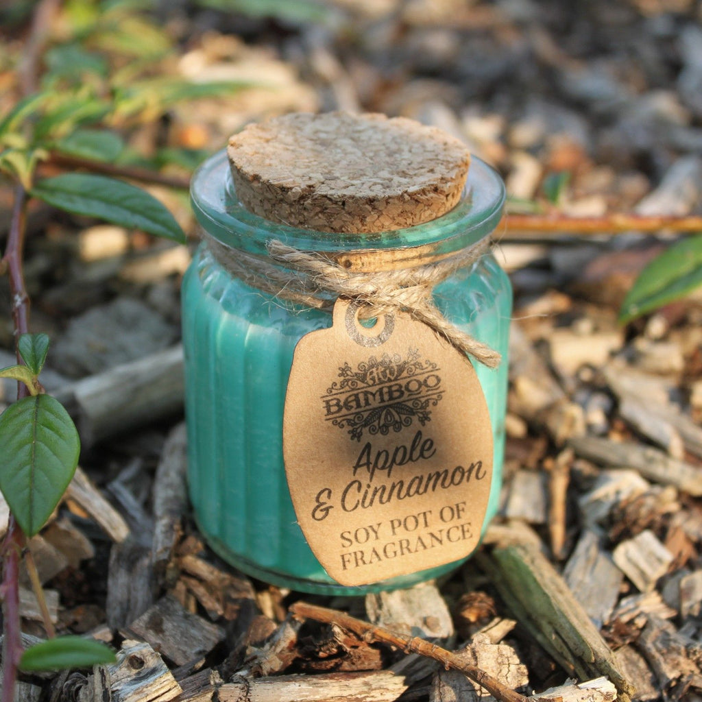 Vela de Soja Maçã e Canela em Pote – Pot of Fragrance | Ancient Wisdom