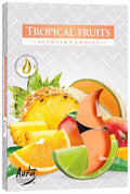 AURA CANDLES - Conjunto de 6 Velas de Chá Perfumadas de Frutos Tropicais