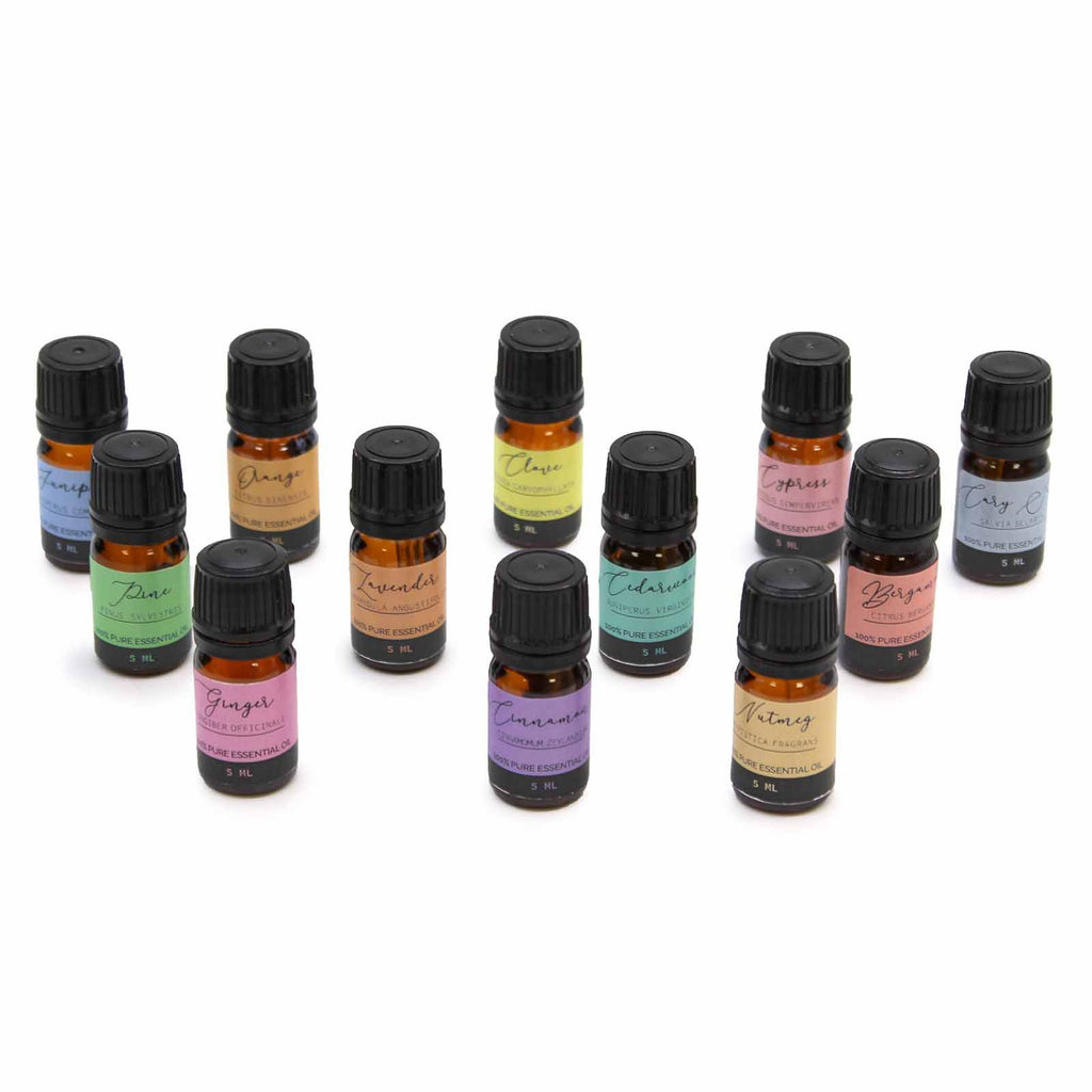 Conjunto de Óleos Essenciais de Aromaterapia – Outono | Ancient Wisdom