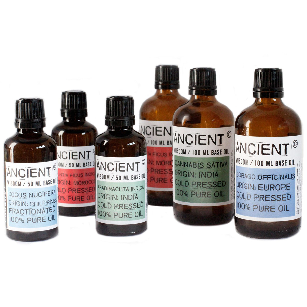 Óleo Base de Macadâmia 100% Puro – 50 ml | Ancient Wisdom