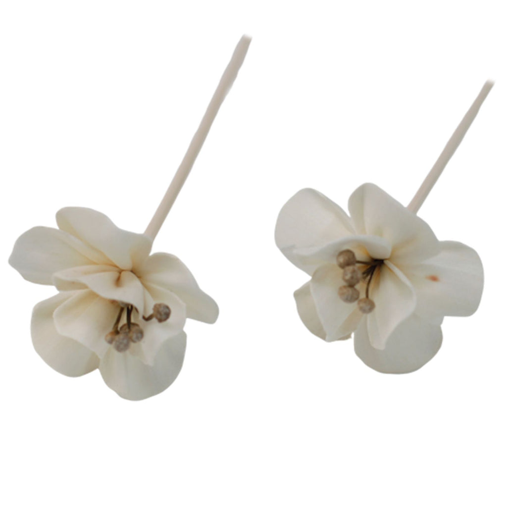 Flores para Difusor em Madeira de Sola – Lírio com Vareta | Ancient Wisdom