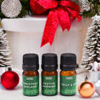 Conjunto de 12 Óleos de Fragrância de Natal "Aromas Sagrados do Natal" – 12 × 5 ml | Ancient Wisdom
