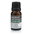 Óleo Essencial de Pinheiro-Silvestre 100% Puro – 10 ml | Ancient Wisdom