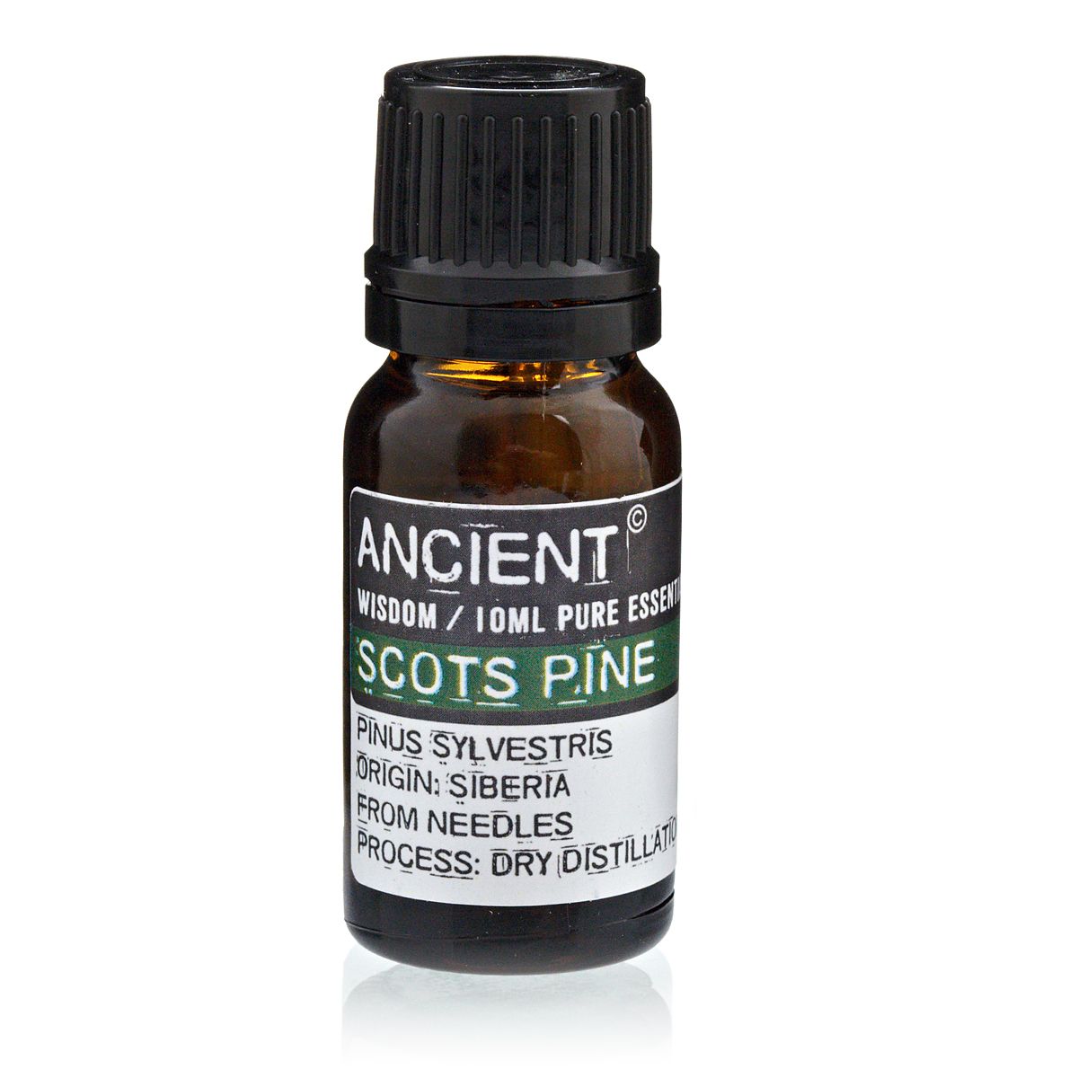 Óleo Essencial de Pinheiro-Silvestre 100% Puro – 10 ml | Ancient Wisdom