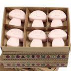 Conjunto de 6 Ceras Perfumadas – Gengibre (Old Ginger) | Ancient Wisdom