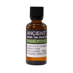 Óleo Essencial Biológico de Eucalipto 100% Puro – 50 ml | Ancient Wisdom
