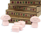 Conjunto de 6 Ceras Perfumadas – Gengibre (Old Ginger) | Ancient Wisdom