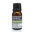Óleo Essencial de Eucalipto 100% Puro – 10 ml | Ancient Wisdom