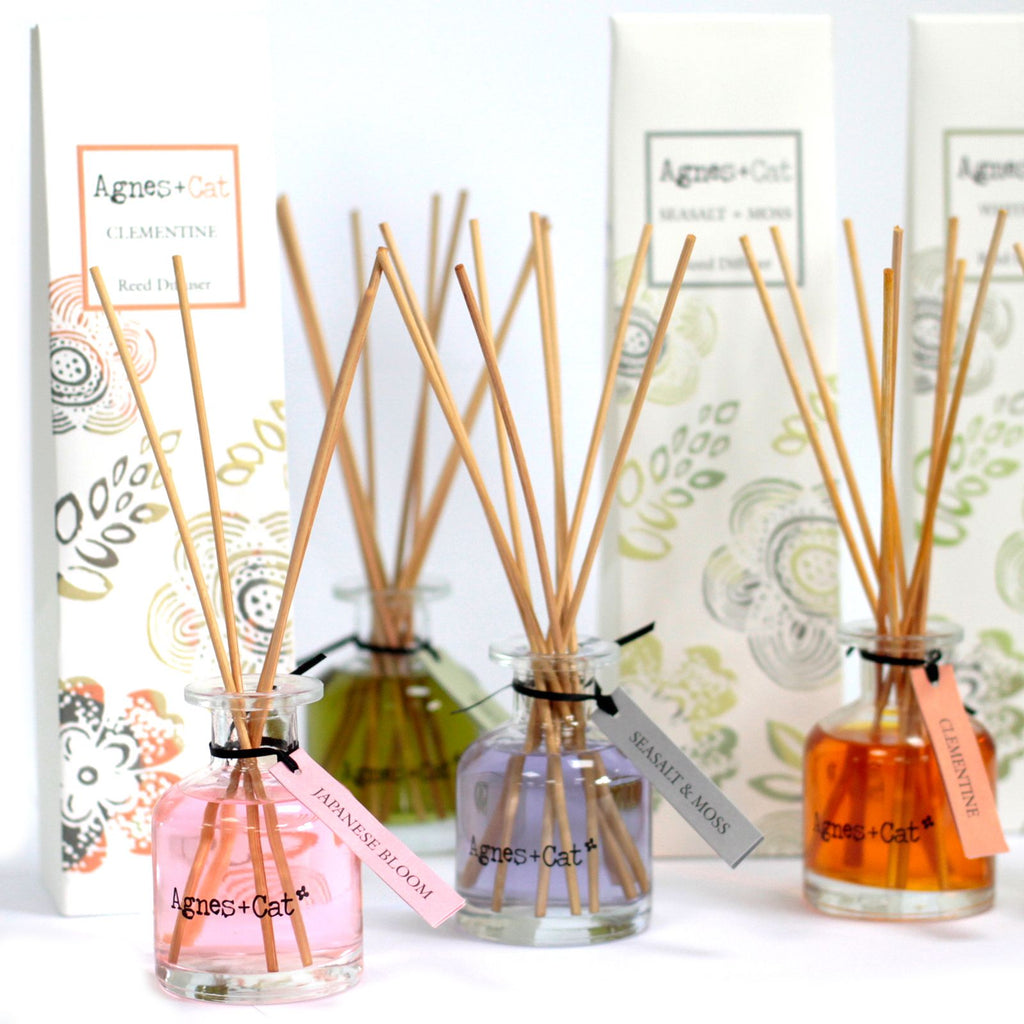 Difusor de Varetas Citrinos – 140 ml | Agnes + Cat