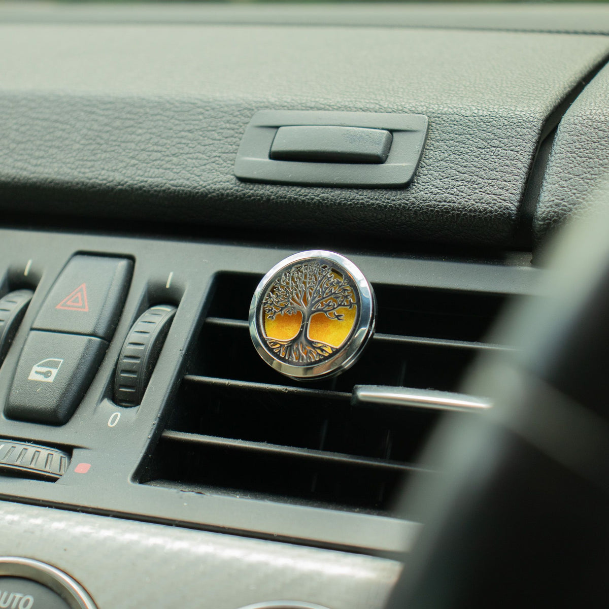 Mistura de Aromaterapia para o Carro Grand Tour (Grande Volta) – 10 ml | Ancient Wisdom