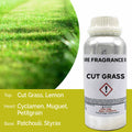 Óleo de Fragrância Puro Relva Cortada – 500 ml | Ancient Wisdom