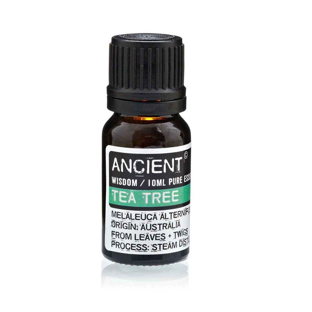Óleo Essencial de Árvore do Chá 100% Puro – 10 ml | Ancient Wisdom