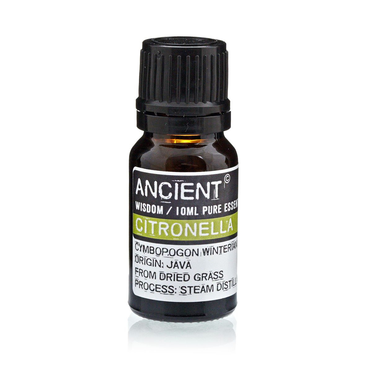 Óleo Essencial de Citronela 100% Puro – 10 ml | Ancient Wisdom