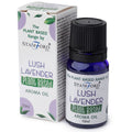 Óleo Aromático de Origem Vegetal Lavanda | Ancient Wisdom