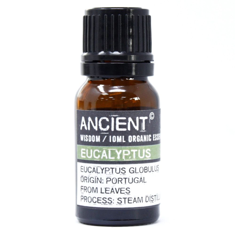 Óleo Essencial Biológico de Eucalipto 100% Puro – 10 ml | Ancient Wisdom