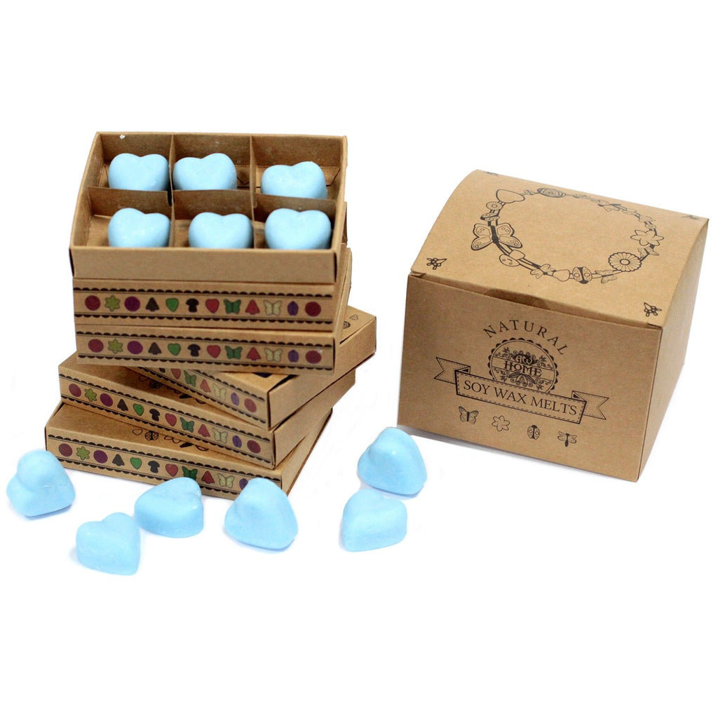 Conjunto de 6 Ceras Perfumadas – Amora Silvestre (Dewberry) | Ancient Wisdom