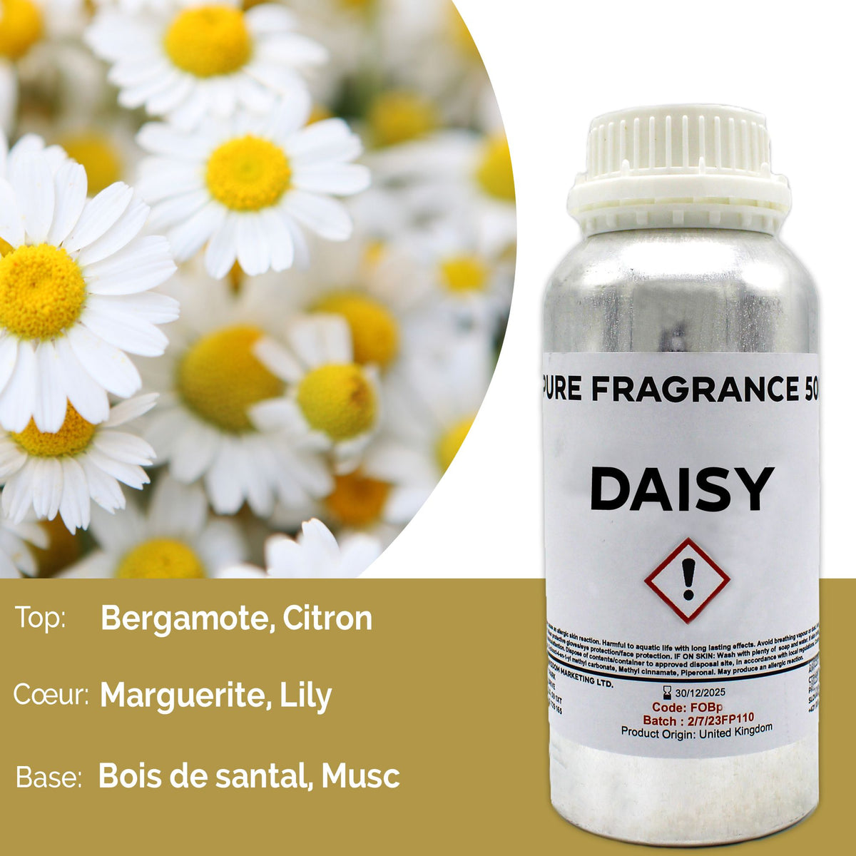 Óleo de Fragrância Puro Margarida – 500 ml | Ancient Wisdom