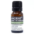 Óleo Essencial Biológico de Patchouli 100% Puro – 10 ml | Ancient Wisdom