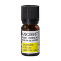 Mistura de Aromaterapia para o Carro Travel Ease (Viagem Tranquila) – 10 ml | Ancient Wisdom