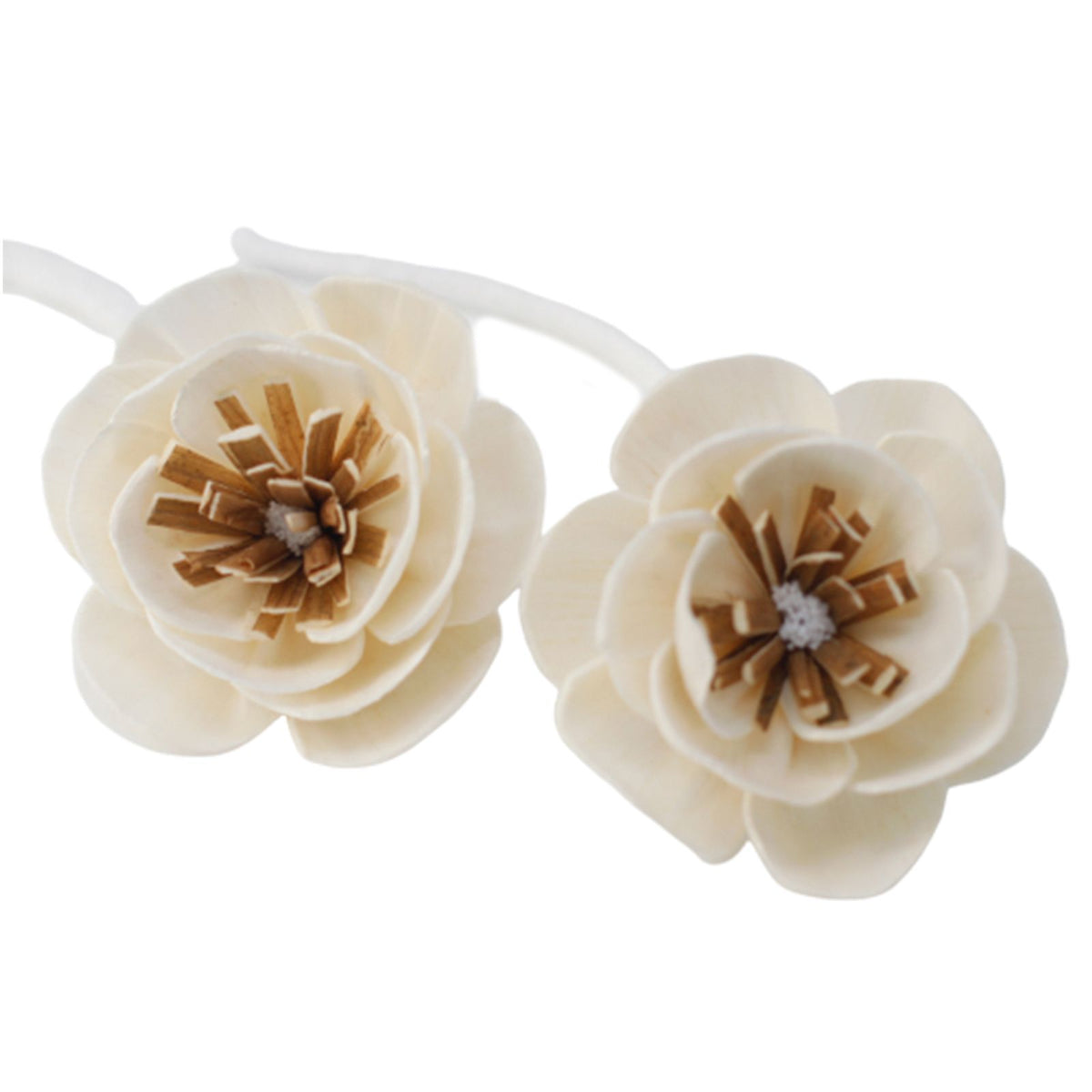 Conjunto de 4 Flores de Papoila para Difusor com Cordão