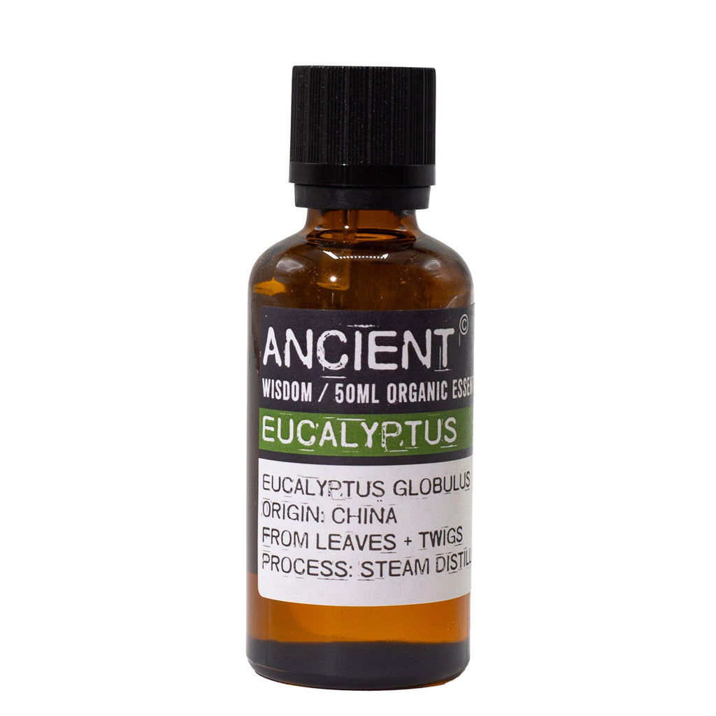 Óleo Essencial Biológico de Eucalipto 100% Puro – 50 ml | Ancient Wisdom