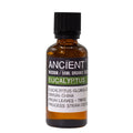 Óleo Essencial Biológico de Eucalipto 100% Puro – 50 ml | Ancient Wisdom